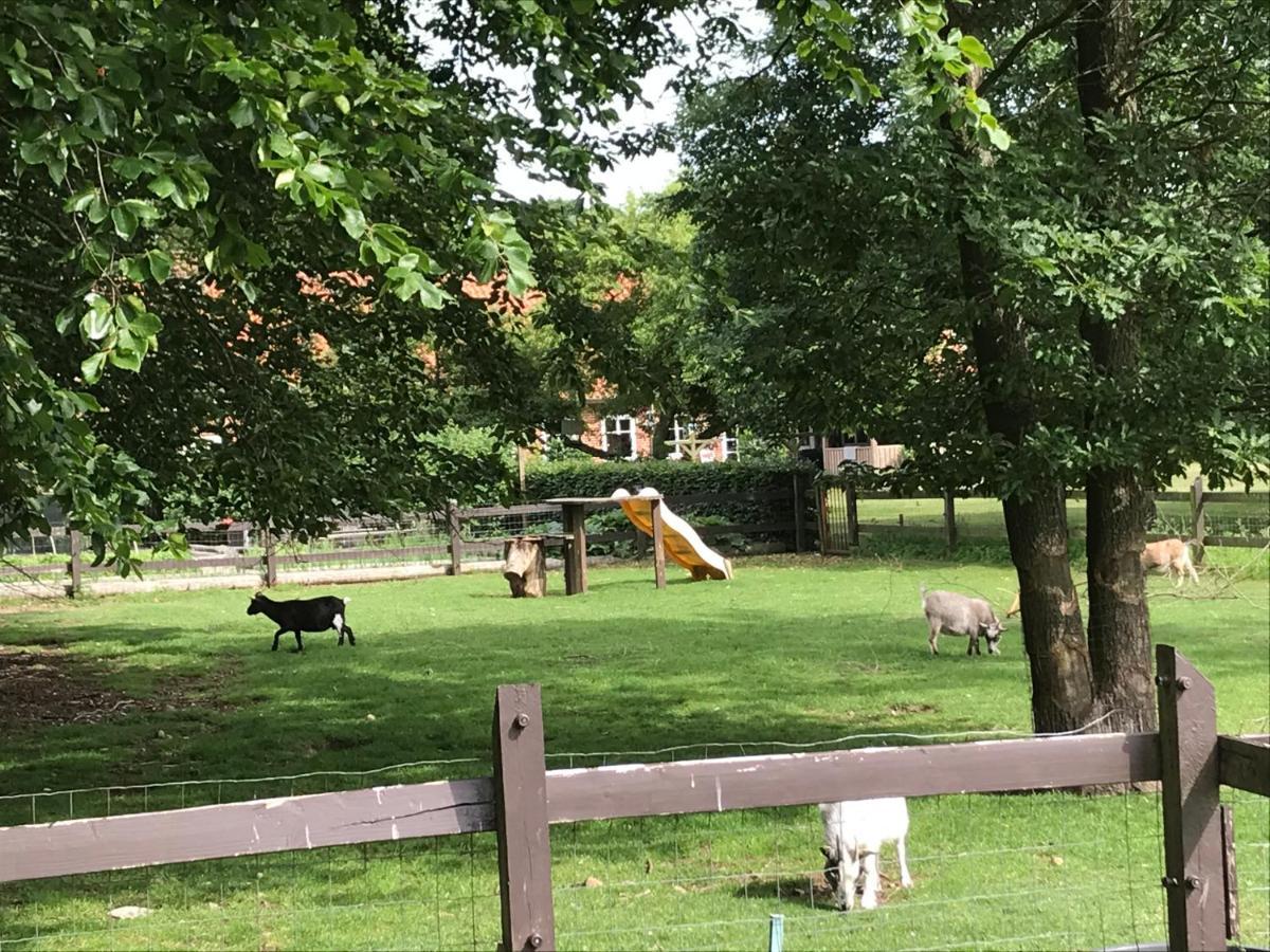 Familiehuis Boysen Appartementen Ribe Luaran gambar