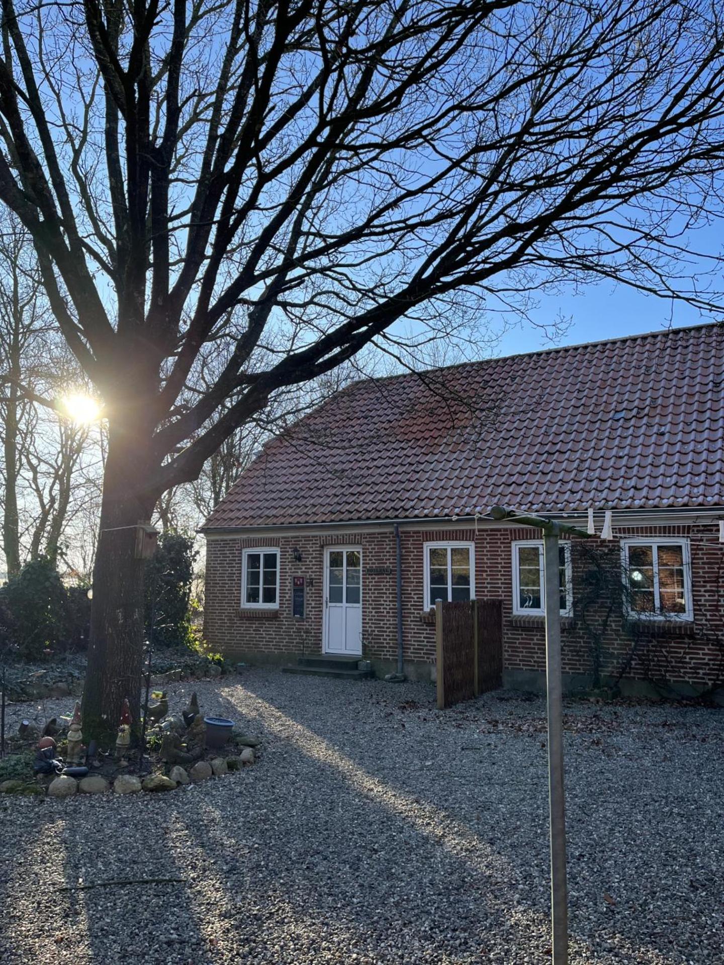Familiehuis Boysen Appartementen Ribe Luaran gambar