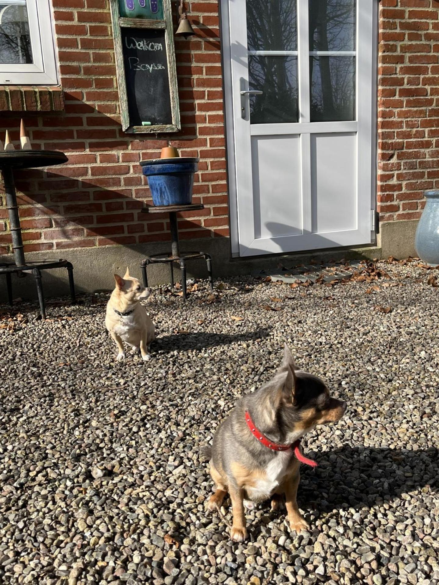 Familiehuis Boysen Appartementen Ribe Luaran gambar