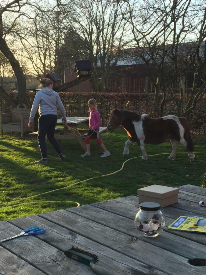Familiehuis Boysen Appartementen Ribe Luaran gambar